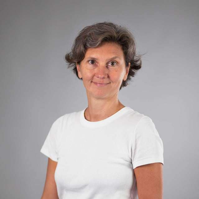 pozzi laura - Computer Systems Institute @ the Università della Svizzera italiana